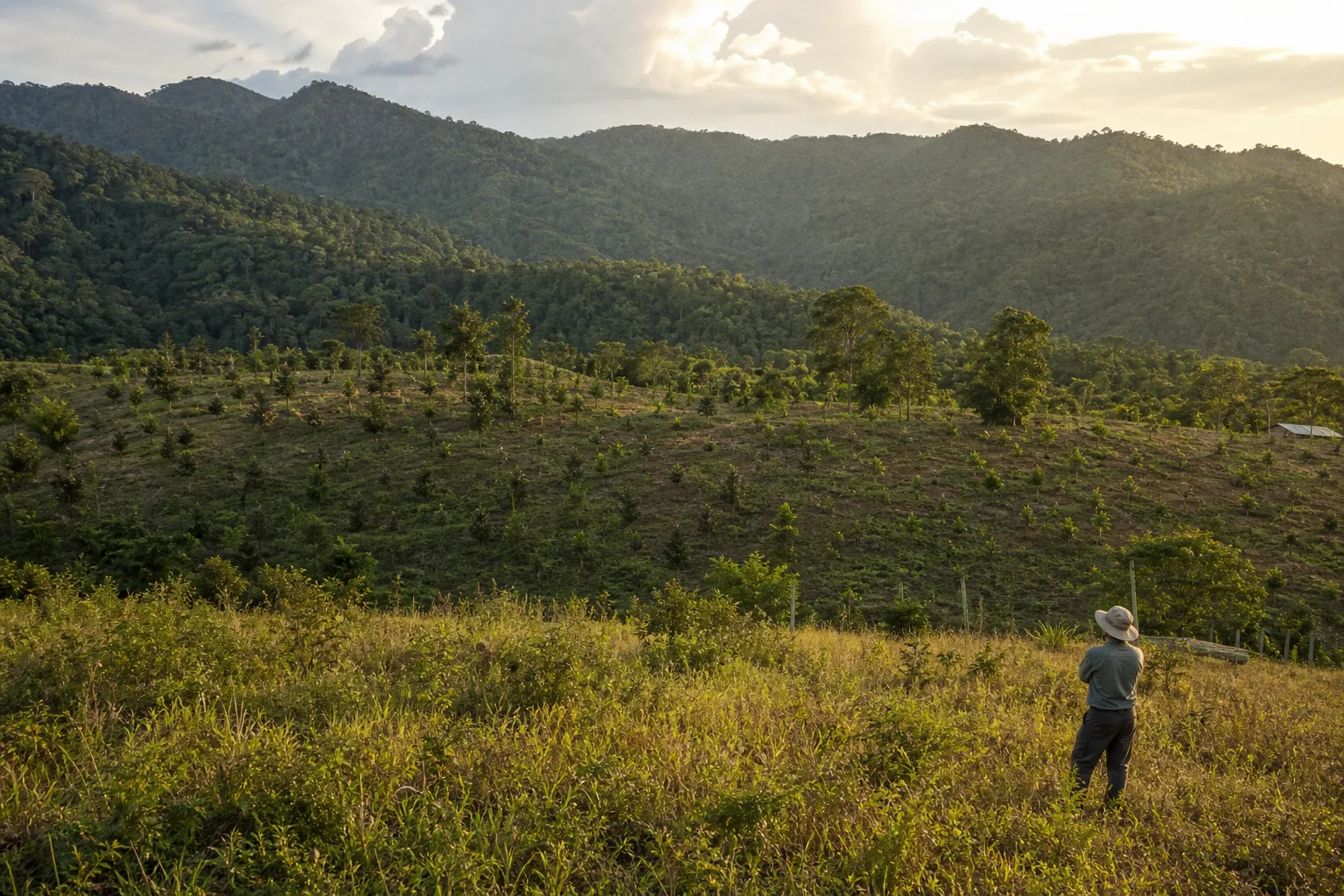Screen Carbon Offset Credits for Portfolio Hedging